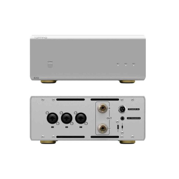 TOPPING B200 Mono Pure Power Amplifier Online Hot Sale