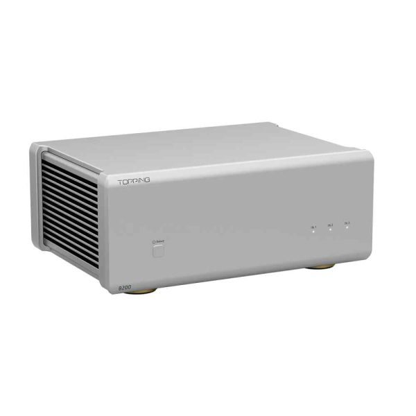 TOPPING B200 Mono Pure Power Amplifier Online Hot Sale